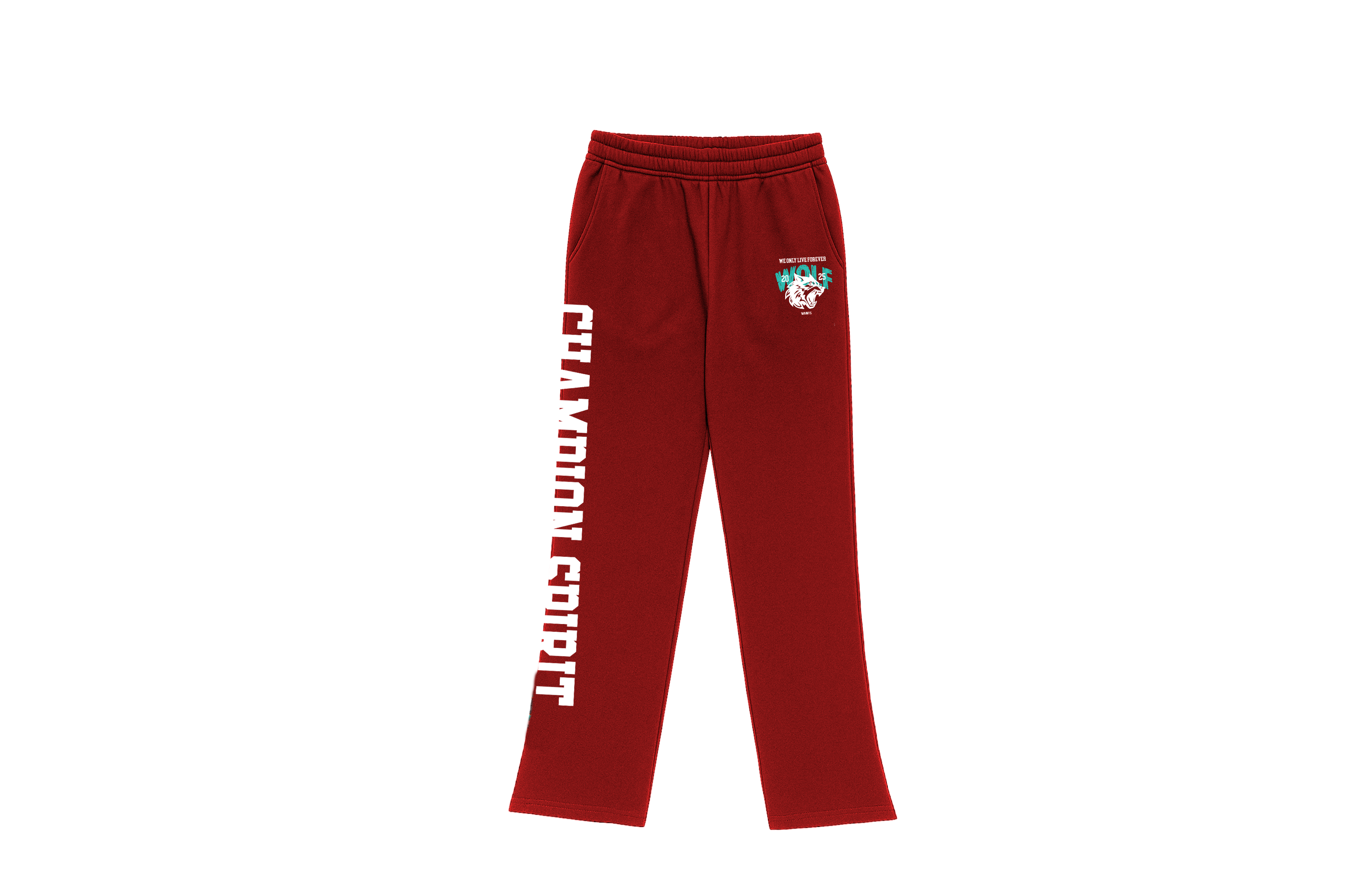 W.A.N.T.S Champ Spirit Joggers