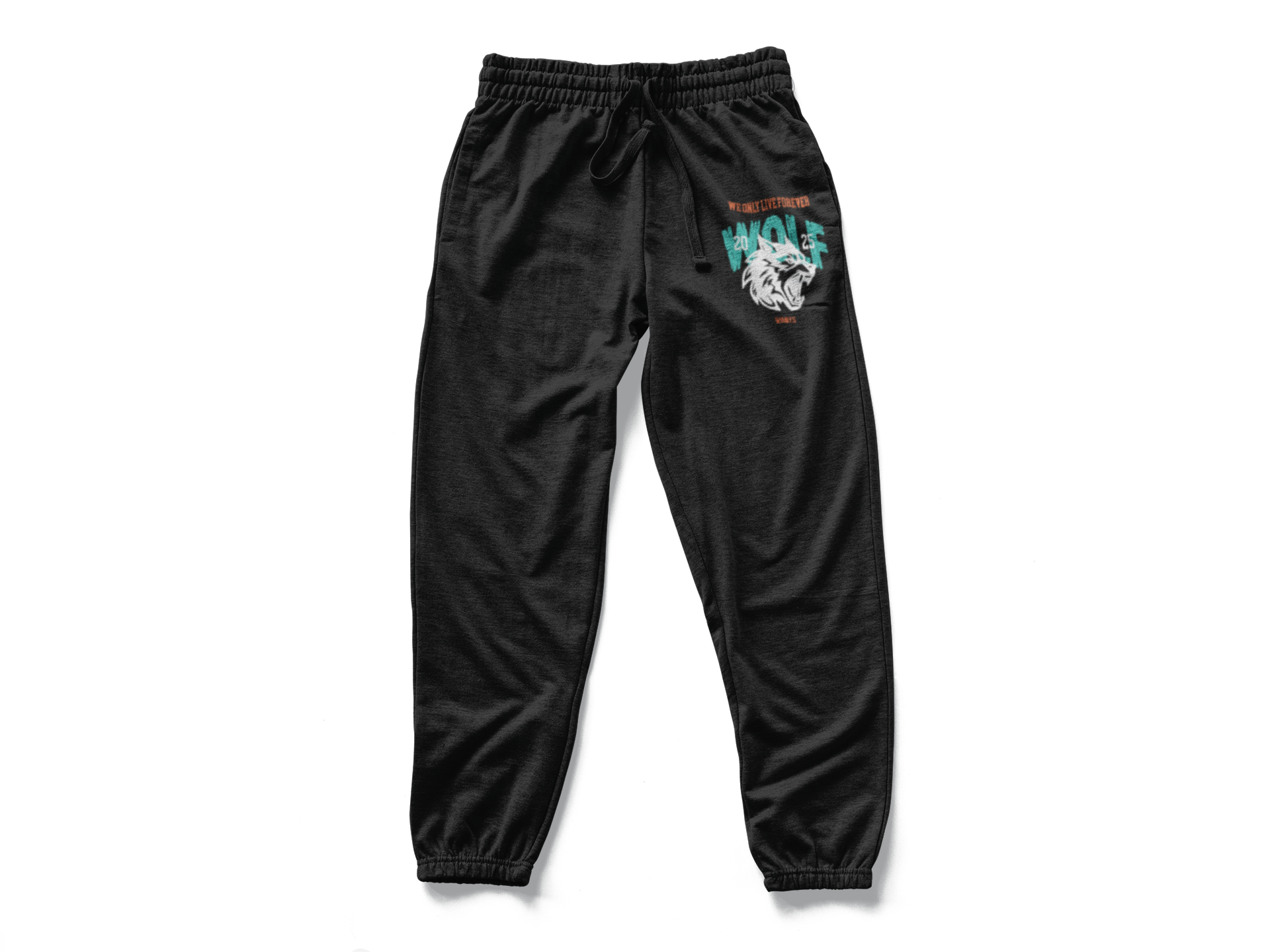WANTS “DNA Edition sweatpants